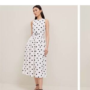 Ann Taylor Black and White Polka Dot Midi Dress